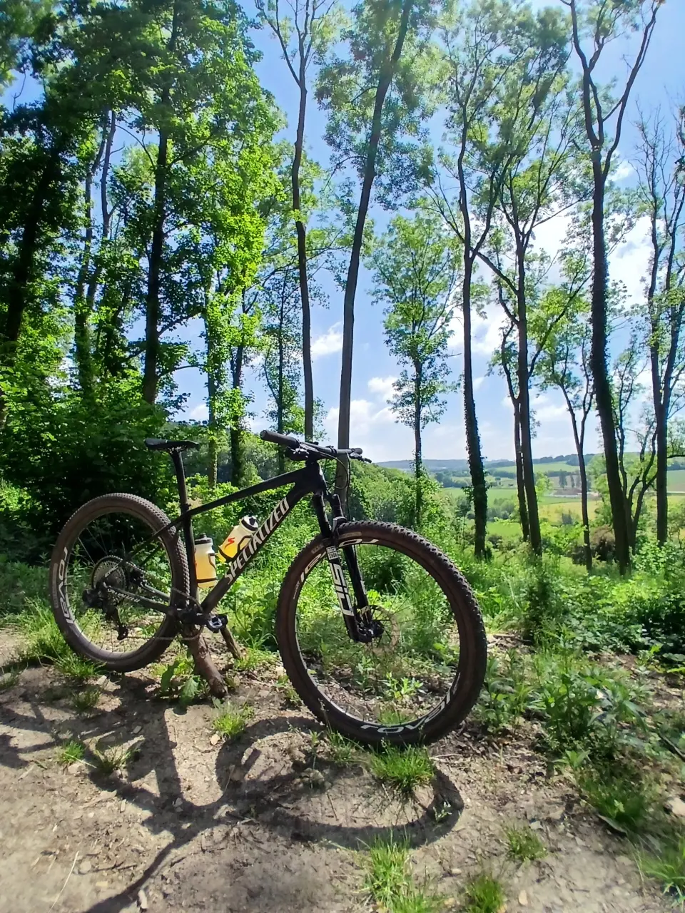 Specialized  Epic HT Expert